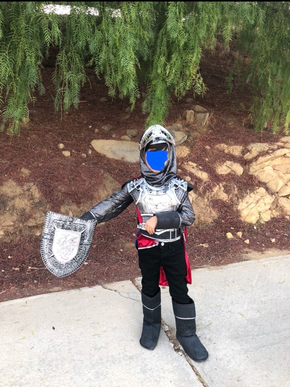 Dream Play Imagine Kids Silver Knight Costume with Red Accents